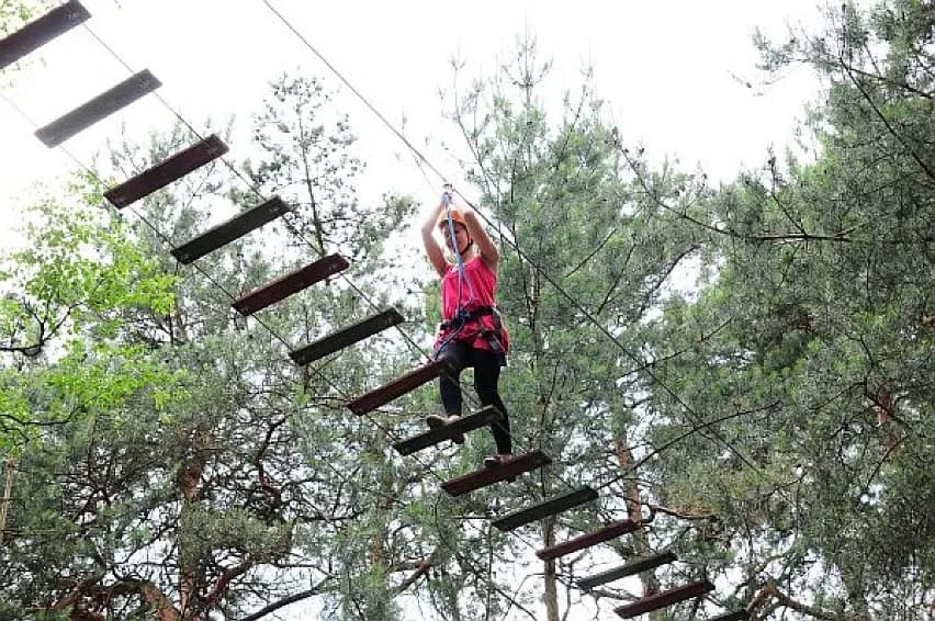 Park linowy Malta - atrakcja w Poznaniu, której nie można przegapić