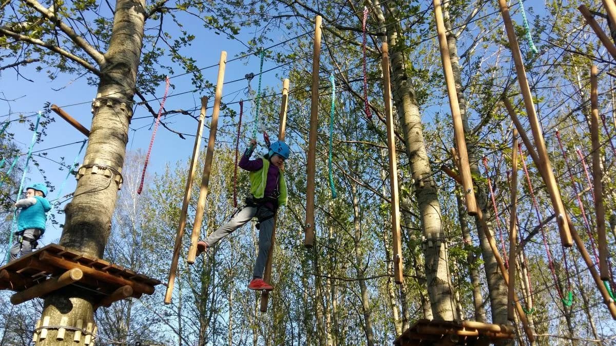 Park linowy Częstochowa - nowe atrakcje i lokalizacje, które musisz znać