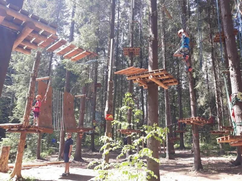 Park linowy Piła - atrakcje, trasy i wymagania dla odwiedzających